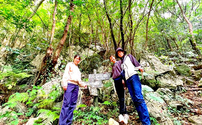 沖縄県北部やんばる・大宜味村最高峰ネクマチヂ岳を登る【3名様】