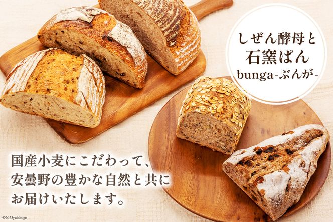パン 定番パン5種 セット [しぜん酵母と石窯ぱん bungaーぶんがー 長野県 池田町 48110556] 手作りパン 天然酵母 自家製酵母 窯焼きパン ハードパン 長野県産