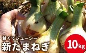 【2026年3月〜発送】【甘くてジューシー 】新たまねぎ 先行予約 サラダ たまねぎ 10kg 玉ねぎ / 南島原市 / 長崎県農産品流通合同会社 [SCB026]