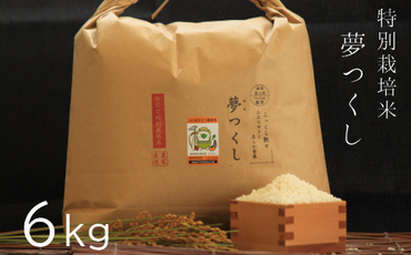 13-57【令和5年産新米予約】特別栽培米　夢つくし白米6kg（Nouhan農繁）