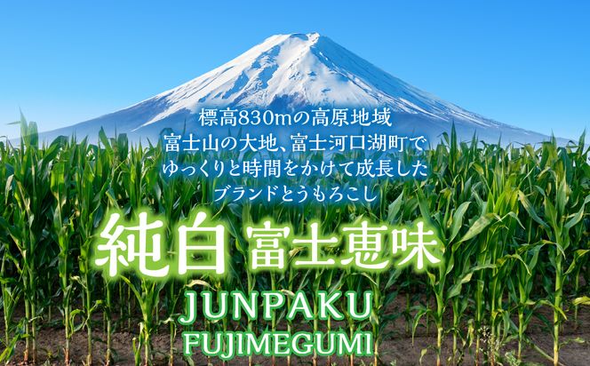 ＜25年発送先行予約＞富士山の大地から待望の白いとうもろこし！フルーツではなくもはやスイーツ☆純白富士恵味6～8本 白い恵味 FAH007