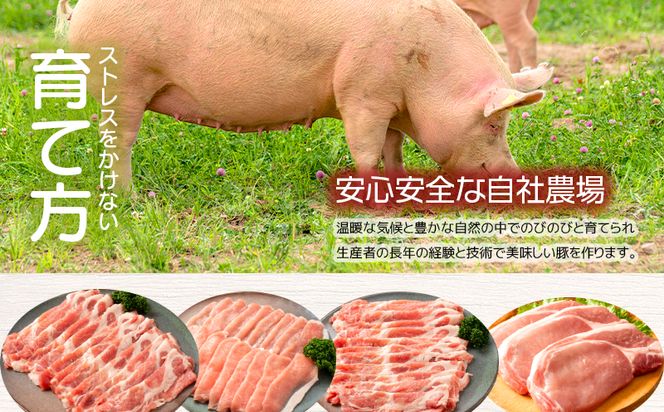 鹿児島県産豚バラエティセット2.51kg＋生餃子2P 　K208-014
