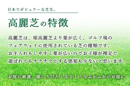 ＜高麗芝 2平方メートル＞2か月以内に順次出荷【c737_hg_x2】