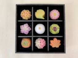 【2025年9月中旬発送】敬老の日 上生菓子 9個入 京都府「現代の名工」受賞 あずきの里謹製（JK-9）《和菓子 詰合せ プレゼント 贈答》