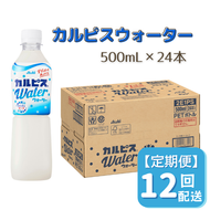 【定期便】カルピスウォーター（500mL×24本）〔12回配送〕156-001