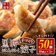 Z6-01 手づくり黒豚にんにく餃子(計50個・10個入り×5P) 特製餃子のタレ付き！鹿児島県産黒豚肉の旨味とたっぷり野菜の相性抜群！冷凍のまま焼くだけ簡単調理【工房ゆう】