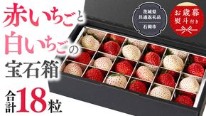 【 お歳暮 熨斗付 】赤いちごと白いちごの宝石箱 18粒【令和6年12月から発送開始】（県内共通返礼品：石岡市産） いちご 苺 イチゴ 白いちご 白イチゴ 宝石箱 [BI375-NT]