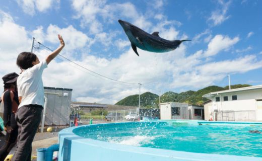 トレーナー体験２名（３歳以上小学生） dr002