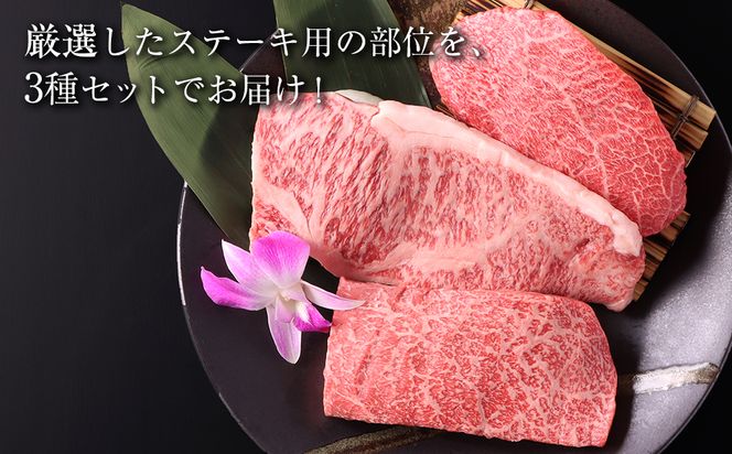 白老牛 厳選 ステーキ 3種セット 合計600ｇ（各200ｇ） 特製ソース付き 和牛 ＜徳寿＞ BJ057