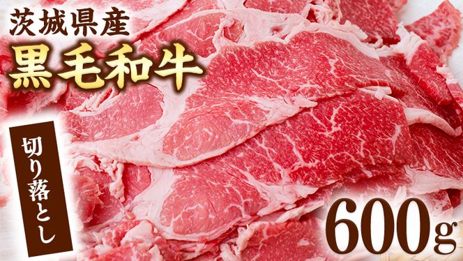 茨城県産 黒毛和牛 切り落とし  600g [AI011ya]