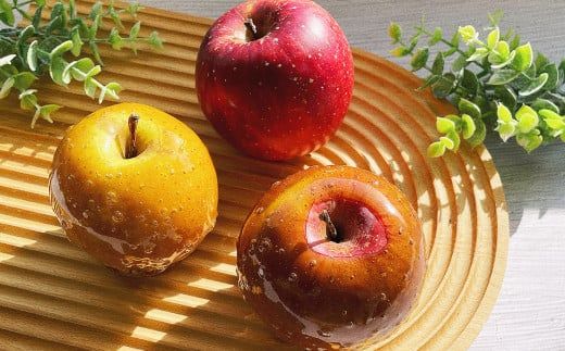 【先行予約】【定期便3回】旬を味わうりんご飴 味比べセット | りんご りんごあめ りんごアメ リンゴアメ フルーツ アップル 林檎 林檎飴 送料無料 ※2026年9月上旬頃～発送