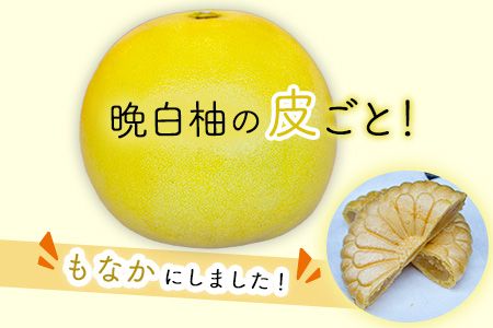 晩白柚もなか 12個入り(6個入り×2箱) 道の駅竜北《30日以内に出荷予定(土日祝除く)》---sh_michimona_30d_23_9000_12k---