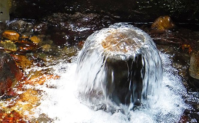 定期便3ヶ月 い・ろ・は・す（いろはす）阿蘇の天然水 540ml 計48本×3回 合計144本 540mlPET×24本×2ケース 送料無料《お申込み月の翌月から出荷開始》---oz_oniro540tei_r7_57000_mo3num1---