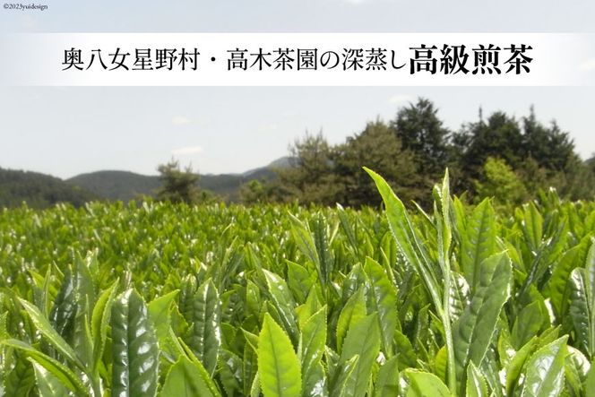 【 6回 定期便 】 茶 深蒸し 高級 煎茶 (深蒸し茶) 100g×1袋×6回 [ ベネフィス 福岡県 筑紫野市 21760996] お茶 緑茶 日本茶 八女茶 煎茶 茶葉 星野茶 八女 奥八女星野村