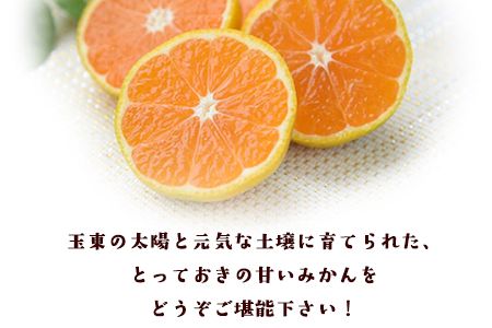 『清晃アグリ』のみかん★約4kg(2S-2Lサイズ) 予約受付中 フルーツ 秋 旬★熊本県玉名郡玉東町 健康な土で育つジューシーおいしいみかん！《11月中旬-12月末頃出荷(土日祝除く)》---sg_agurimikan_bc11_24_8500_4kg---