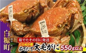 しらぬか産 茹でたて大サイズ毛がに【550g以上】
