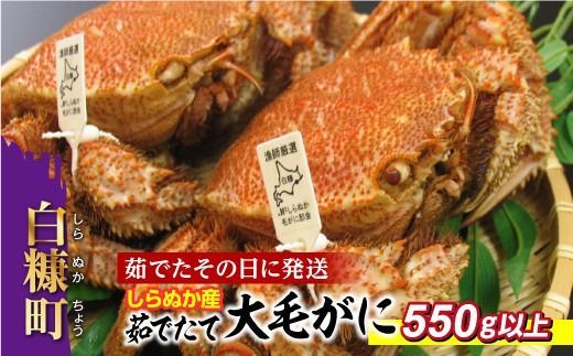 ykCfzʂY 䥂łđTCYтɁy550gȏz