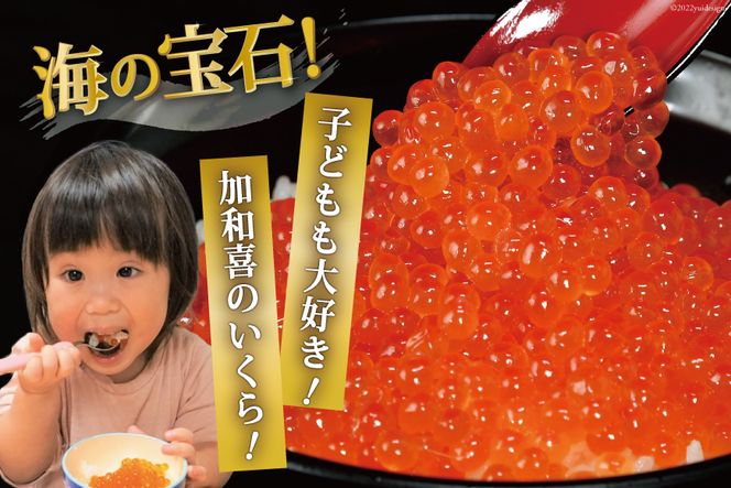 味付いくら 鱒卵 500g×1パック [かわむら家 宮城県 気仙沼市 20564995] いくら 海鮮 魚介類 イクラ 醤油漬け 鱒 鱒いくら