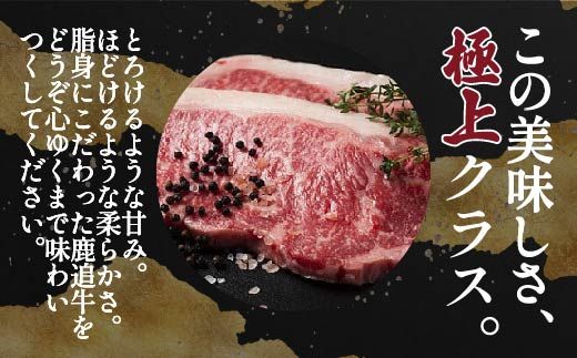 鹿追牛ロースステーキ（鹿追牛Dセット） 225g×2 SKA008