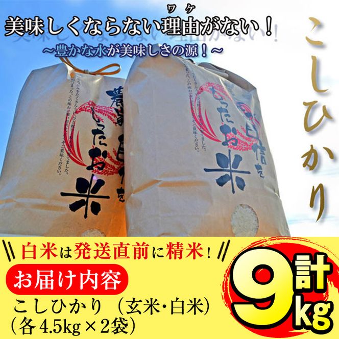 【米の匠】川崎さん自慢のコシヒカリ＜白米＆玄米＞ 計9kg(各4.5kg×2袋) a3-057-R5