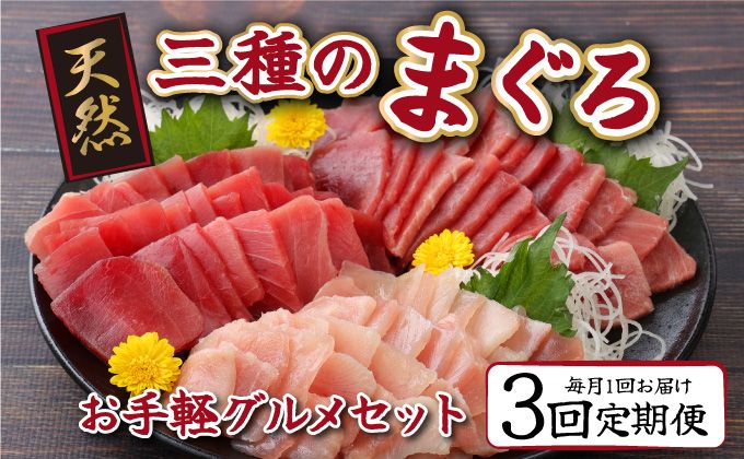 [3回定期便]3種のまぐろお手軽グルメセット 600g 3か月連続 本マグロ ビンチョウマグロ メバチマグロ スライス 切り落とし 切落し 天然 鮪 刺身 刺し身 食べ比べ 魚 さかな 高知 室戸 冷凍 小分け 便利 室戸定期便