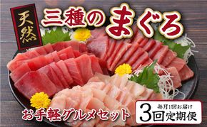 【３回定期便】３種のまぐろお手軽グルメセット ６００ｇ ３か月連続 本マグロ ビンチョウマグロ メバチマグロ スライス 切り落とし 切落し 天然 鮪 刺身 刺し身 食べ比べ 魚 さかな 高知 室戸 冷凍 小分け 便利 室戸定期便 tk027