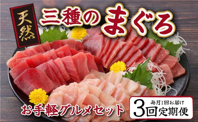 【３回定期便】３種のまぐろお手軽グルメセット６００ｇ_tk027