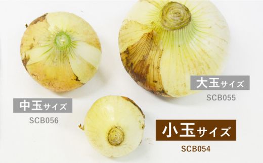 【2025年3月中旬〜発送】【柔らかくて甘い！】塩玉ねぎ（新玉ねぎ）約5kg（小玉） / 玉ねぎ 南島原市 / 長崎県農産品流通合同会社 [SCB054]