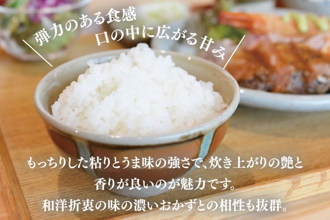 ＼先行予約・9月中旬より順次発送／山﨑観光農園のお米 コシヒカリ 白米5kg｜栃木県 益子町 ふるさと納税 お米 コシヒカリ 白米 精米 5kg 令和7年産 先行予約 9月中旬より順次発送 (AU014)