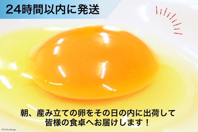 BI045 12回 定期便 たっぷり！ 雲仙たまごMSサイズ 108個(100個＋割れ補償8個入り) [ 卵 たまご 生卵 鶏卵 赤卵 玉子 新鮮 塚ちゃん雲仙たまご村 長崎県 島原市 ]