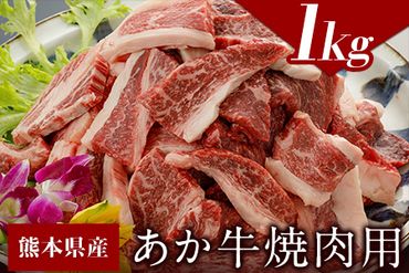 肥後のあか牛（熊本県産）焼肉用1000g 南阿蘇食品 《90日以内に出荷予定(土日祝除く)》 熊本県 南阿蘇村---sms_fmashgyk_90d_24_26000_1kg---