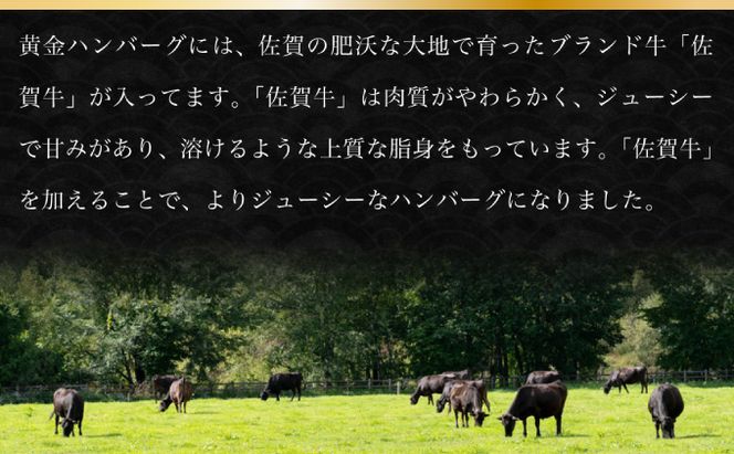 《2024年9月配送》老舗55年佐賀牛入黄金ハンバーグ 12個　B-1004-I