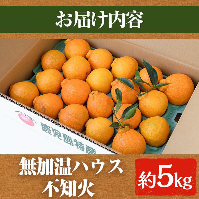 ＜訳あり・不揃いの為＞数量限定！無加温ハウス不知火(5kg) 国産 果物 フルーツ 柑橘 期間限定【桐野柑橘株式会社】a-18-21