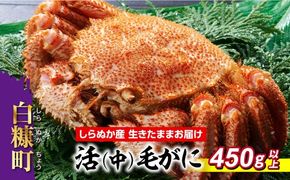 しらぬか産 活中サイズ毛がに【450g以上】