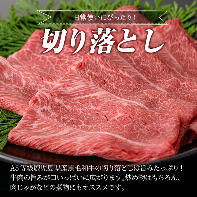 a856 ≪A5等級≫鹿児島県産黒毛和牛切り落とし計900g(300g×3P)【水迫畜産】姶良市 国産 牛肉 切り落とし