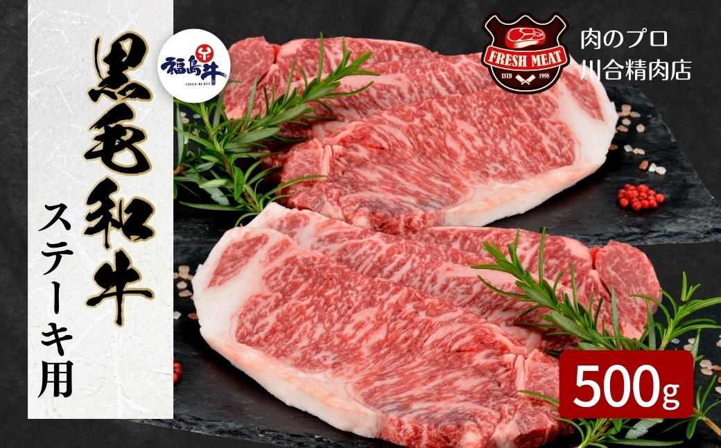 [ 福島牛 ] 黒毛和牛 サーロインステーキ用 500g (250g×2枚) ステーキ肉 冷凍保存 肉 牛肉 焼肉 ステーキ ランキング おすすめ グルメ ギフト 福島県 田村市 川合精肉店 N09-M20-06