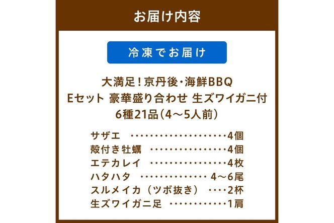 大満足！京丹後・海鮮BBQ　Eセット　豪華盛り合わせ　生ズワイガニ　付　6種21品（4～5人前）　YK00370