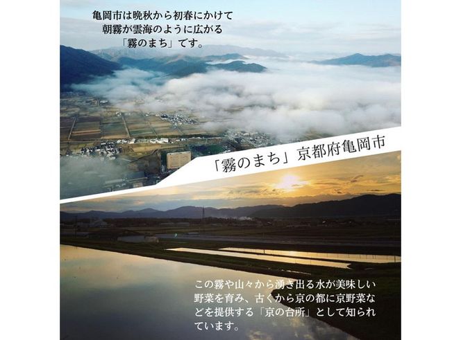 ＜京漬物 音峰漬物本舗＞京都丹波 漬物 厳選 7種セット《贈り物 贈答 ギフト 誕生日 お中元 お歳暮》