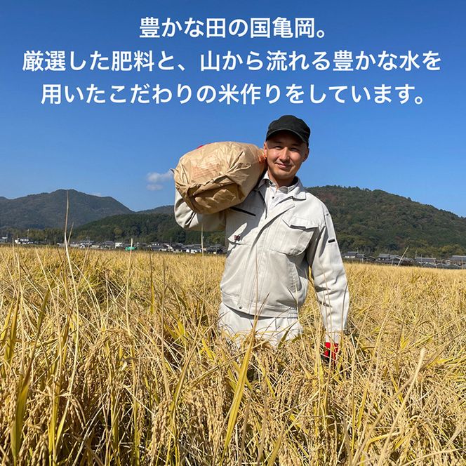 新米 キヌヒカリ 玄米 20kg〈アグリにのうみ〉京都・亀岡産《令和5年産 ...