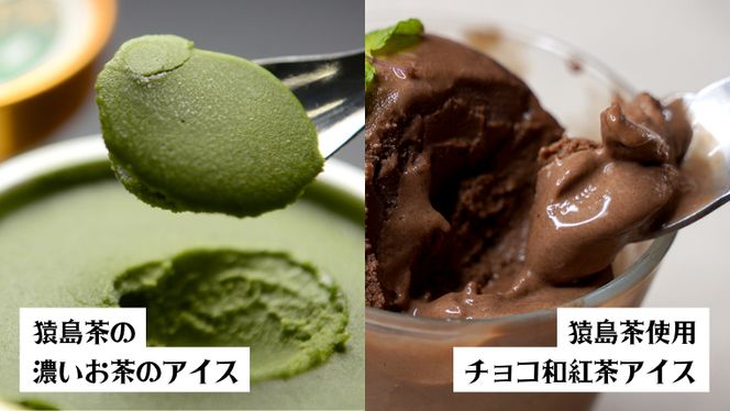 猿島茶使用 アイス 7個入 詰め合わせ  ( 濃いお茶 3個 / チョコ 和紅茶 4個 )  あいす ふるさと納税 ギフト スイーツ お菓子 お祝い [AF110ya]