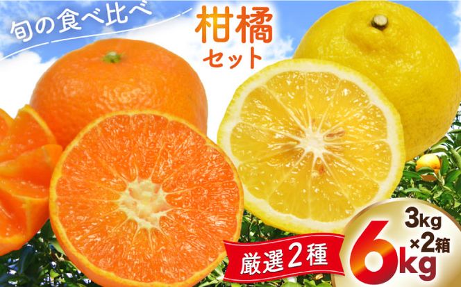 【2025年1月〜発送】【旬の 食べ比べ】柑橘（みかん）セット 約 6kg（3kg×2箱） / みかん 南島原市 / 長崎県農産品流通合同会社 [SCB041]