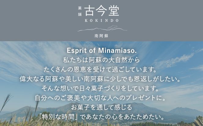 濃厚生チーズケーキ 1592 ヒゴクニ 24個入り 古今堂 《30日以内に出荷予定(土日祝除く)》 熊本県 南阿蘇村 チーズケーキ チーズ ひごくに お菓子 スイーツ---sms_kkinczk_30d_r7_17000_24i---