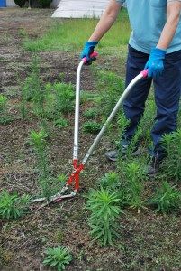 立ったまま雑草刈り「草刈かっちゃん」１丁