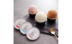 【北海道産搾りたて生乳使用】牧場の山カフェ アイスクリーム12個セット 真っ白な牧場アイス 思い出のチョコレート いちご デザート スイーツ せたな町 ふるさと納税