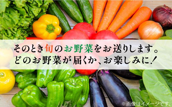 【3回定期便】地元の農家さんが収穫した旬のお野菜 詰め合わせセット 野菜定期便 野菜詰め合わせ / 南島原市 / ミナサポ [SCW045]