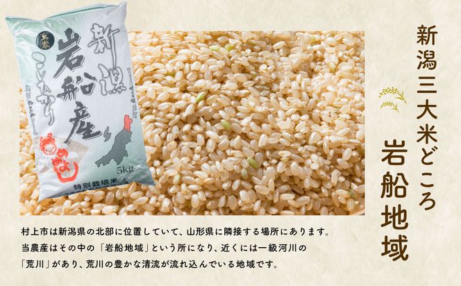 AB4019 【令和5年産米】特別栽培米  新潟県岩船産 コシヒカリ 玄米 10kg