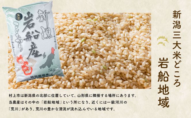 楽天市場】【送料無料】特別栽培米コシヒカリ（玄米）10kg 令和6