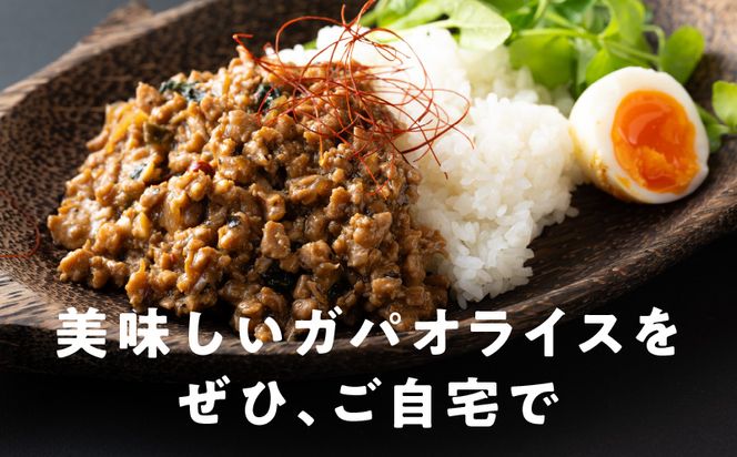 099H2739 【スピード発送】焼肉専門店が作る ガパオ 2パック 温めるだけ 総菜 簡単調理 冷凍発送