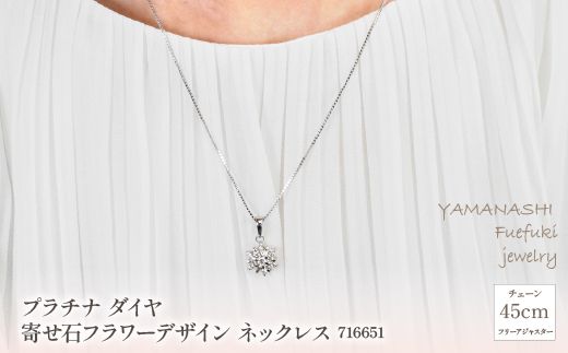 yRJszv`i@_C@񂹐΃t[fUC@lbNX@Ǘԍ716651@×1{ 218-024