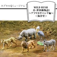 158-1054-026　カプセルQミュージアム WILD RUSH 真・世界動物誌Ⅰ～アフリカサバンナ編～＜海洋堂＞